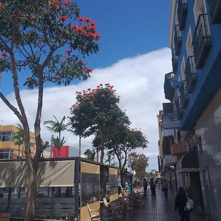 Cosy & * Vecindario (Gran Canaria)